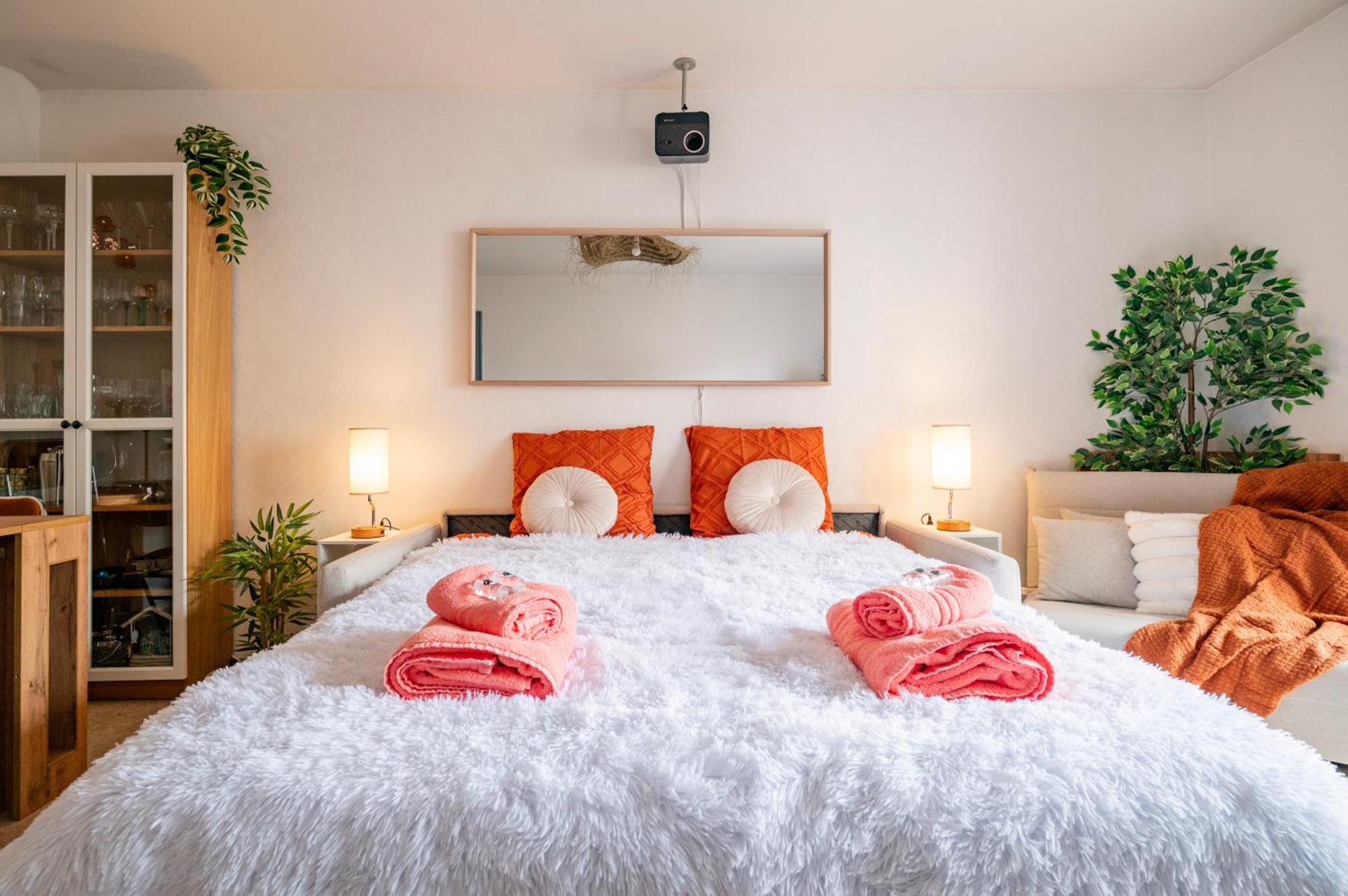 Cathyvoyages Com - Balcon - Netflix Prime Videoprojecteur - Garage Possible Ou Parking Gratuit Rue - Centre 8 Min Et Gare 5 Min En Tram - Confort Et Proprete