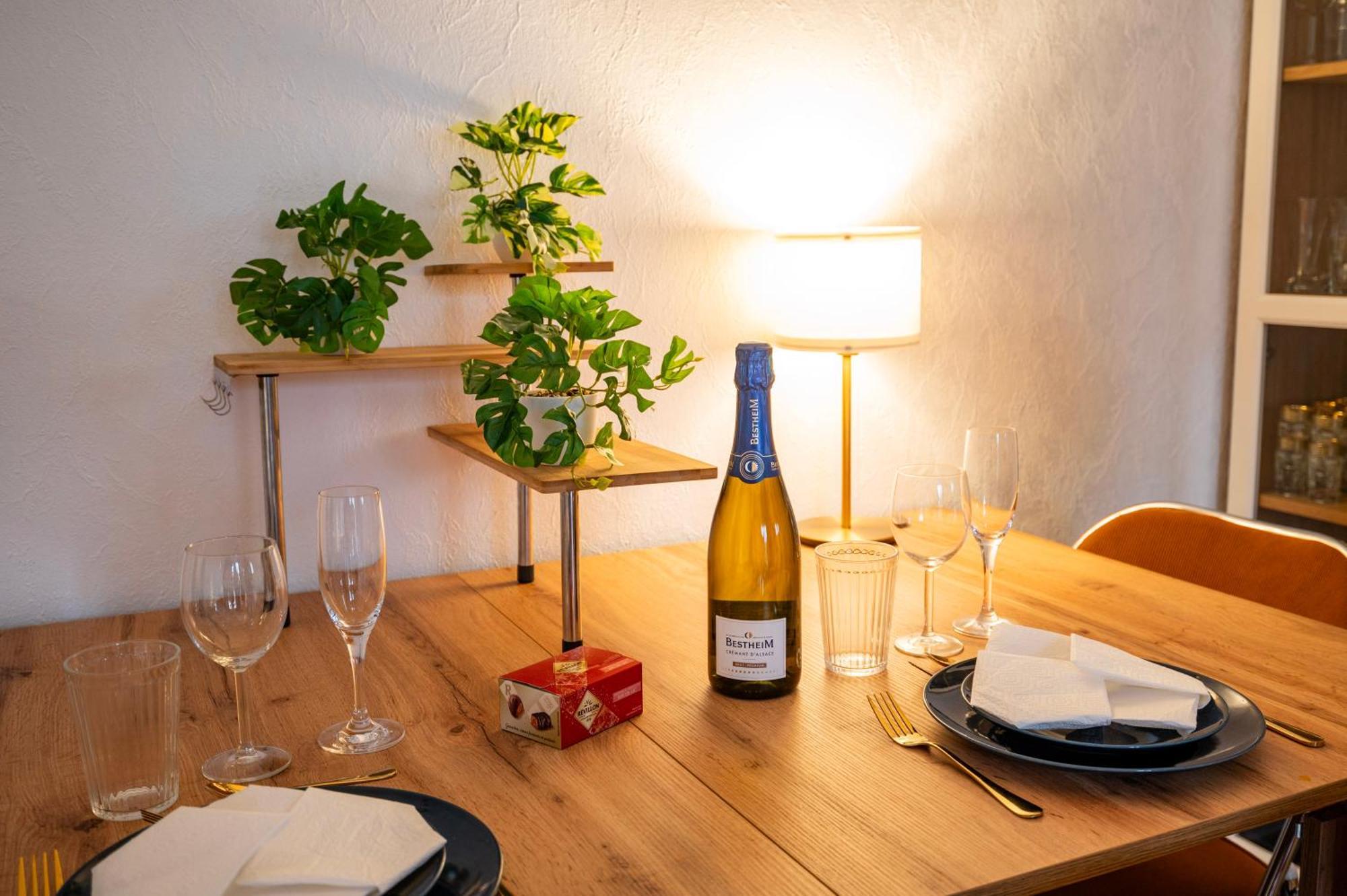 Cathyvoyages Com - Balcon - Netflix Prime Videoprojecteur - Garage Possible Ou Parking Gratuit Rue - Centre 8 Min Et Gare 5 Min En Tram - Confort Et Proprete Strasbourg